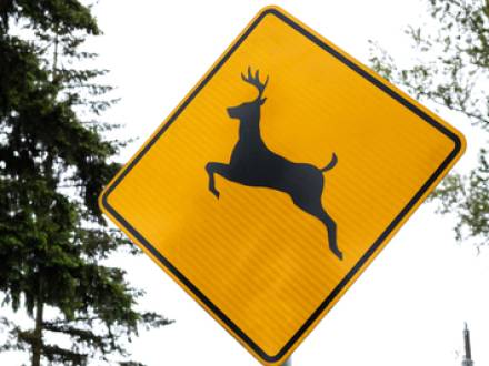 Aurora, IL personal innjury lawyer